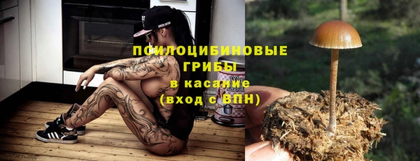 герыч Каменка