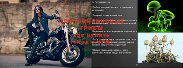 гашиш Каменногорск