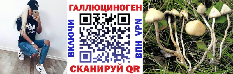 Псилоцибиновые грибы MAGIC MUSHROOMS  Купить где  Городец 